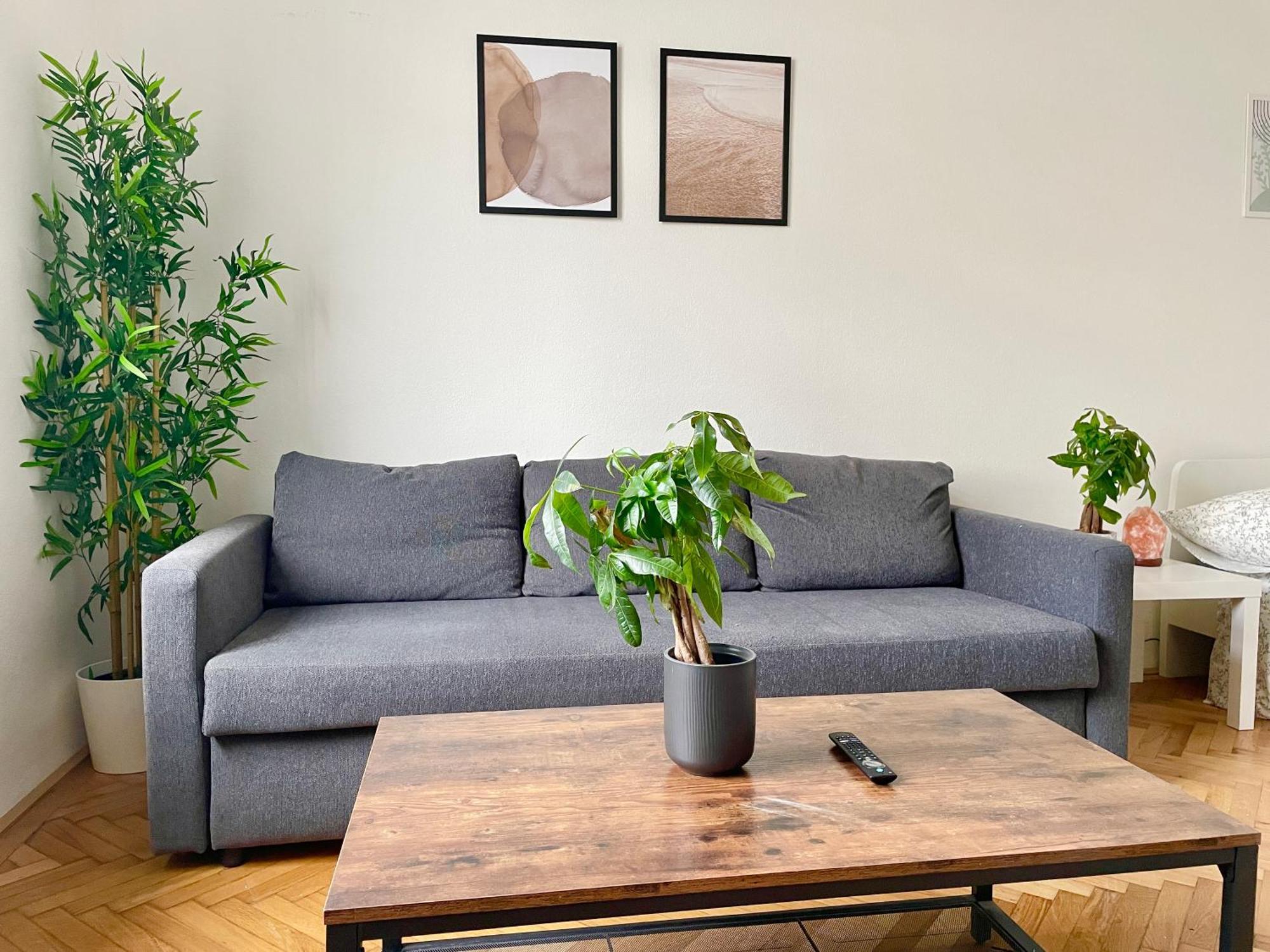 Apartment 55 M2 Stylish Wien