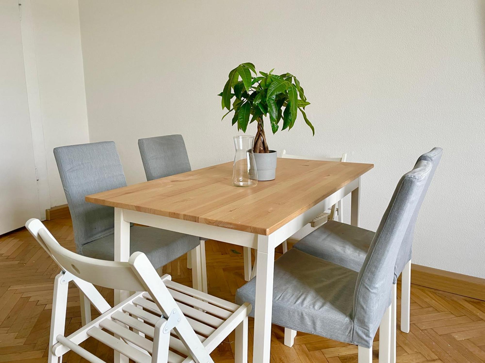 55 M2 Stylish Wien